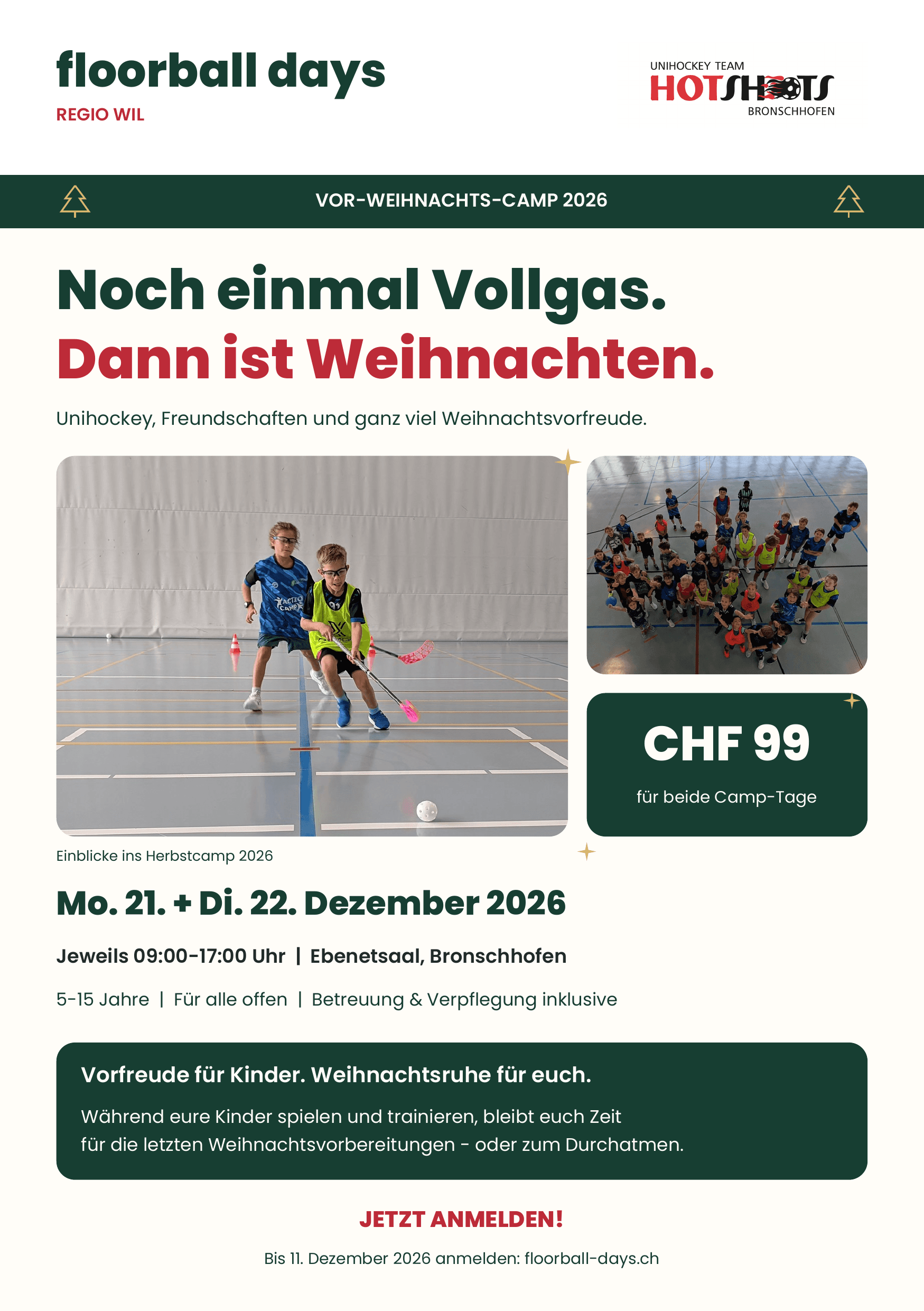 Flyer Vor-Weihnachts-Camp 2026